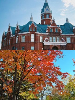 London, Ontario: A Relaxing Journey in the "Forest City"