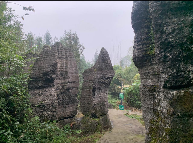 山與水