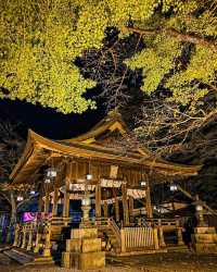 "金崎宮夜遊：燈影中的歷史與浪漫" 
