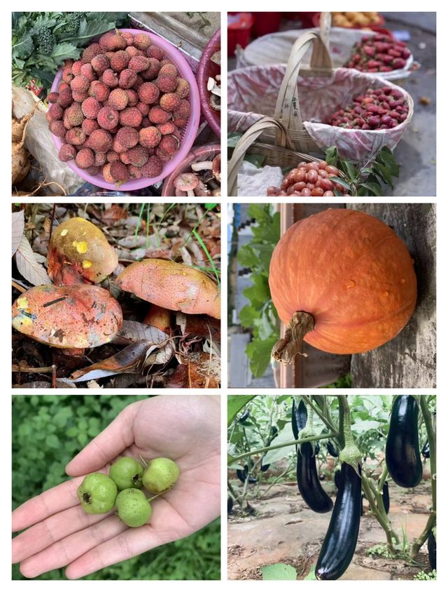 愛上呢抹油畫般嘅綠|好似喺歐洲海邊度假