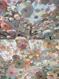 探秘廣西柳州博物館：一段穿越時空的旅程