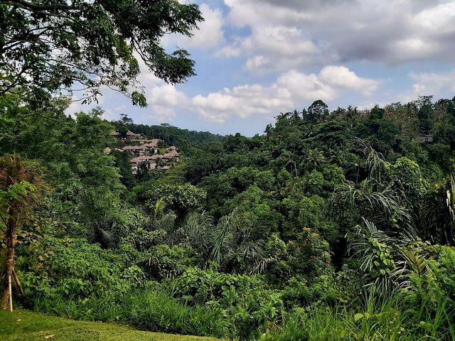 巴厘島秘密花園：阿麗拉烏布 Alila Ubud   酒店：阿麗拉烏布 Alila Ubud 