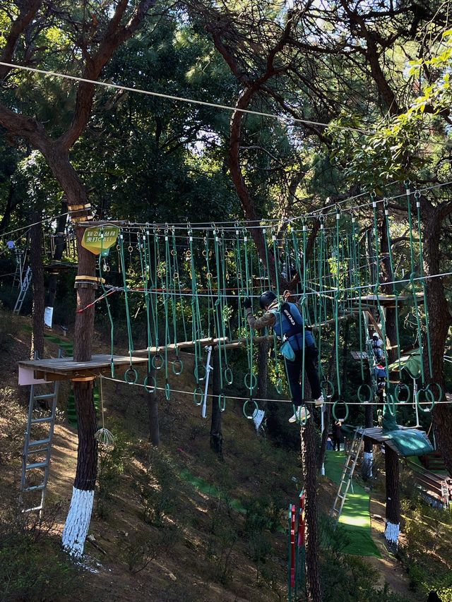 春節新玩法｜開年「撒野」體驗新不一樣的瘋狂