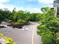 大阪市立自然史博物館