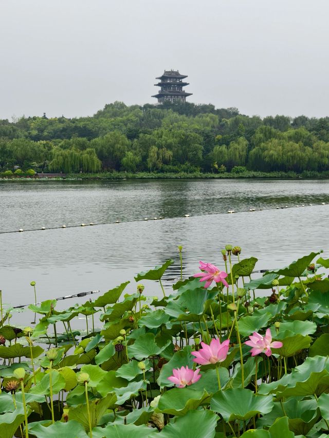 春節玩轉唐山：2日精華遊攻略來襲