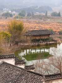 黟縣｜守拙園｜桃花源裏 抱水銜山 一圓同心