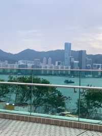 香港賞花必看的紫花風鈴木開了！