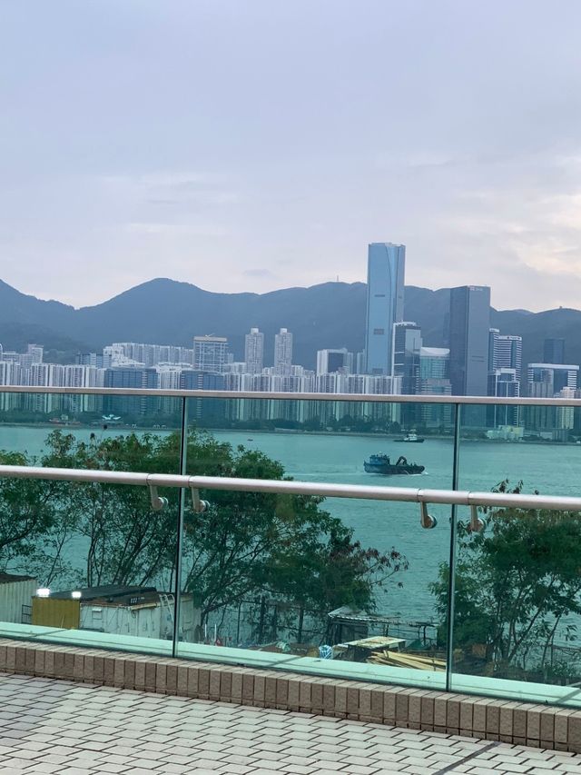 香港賞花必看的紫花風鈴木開了！