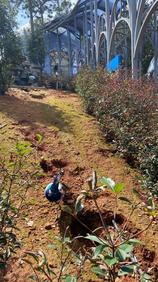 么嘎姐妹在昆明發現一個寶藏親子樂園！！！