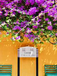 Kunming Attractions 
