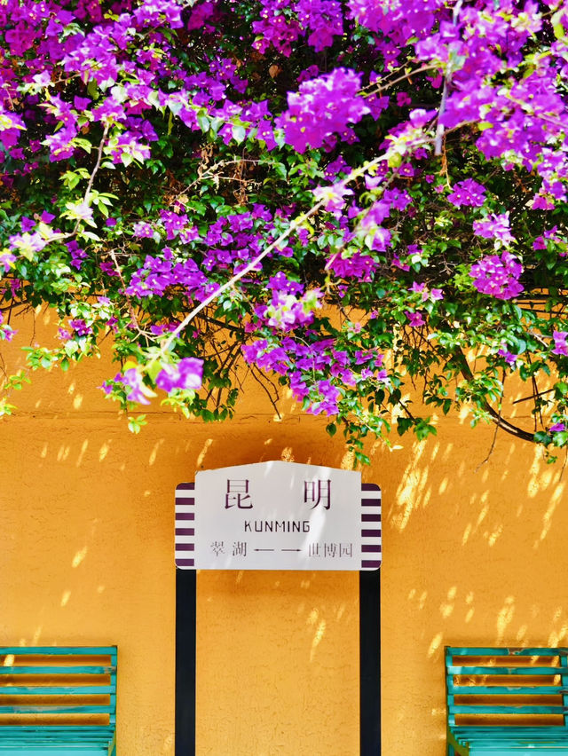 Kunming Attractions 