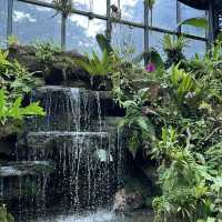 不在泰國！在東莞植物園