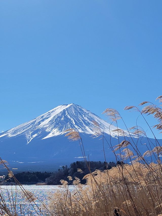 6日暢遊日本 盡享溫泉之旅