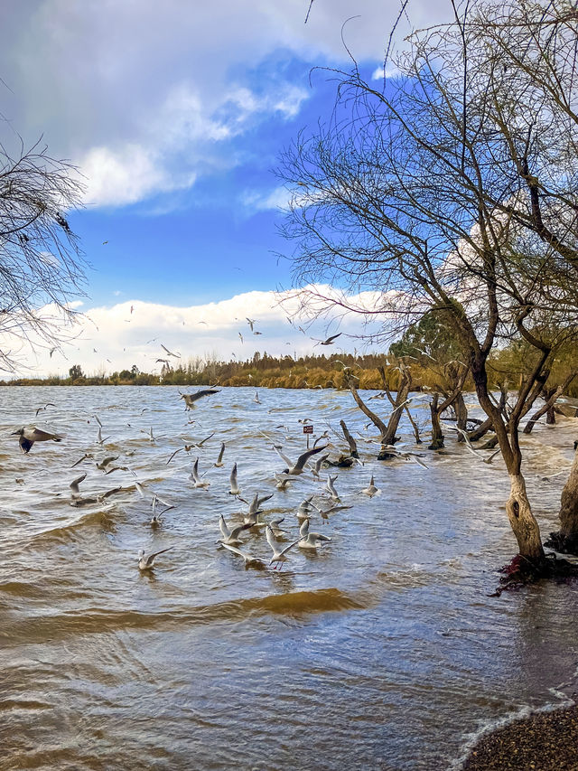 撈魚河濕地公園生存指南：如何完美仆街！