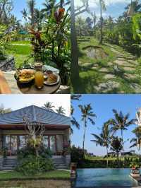 Inara Alas Harum，隱匿於森林的享樂天堂   酒店：Inara Alas Harum
