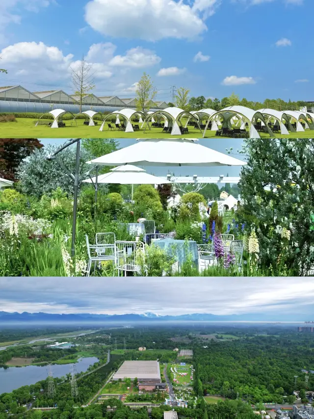 동화 속 숲으로 떠나요! 꽃과 사슴 가족 놀이공원 완벽 가이드!