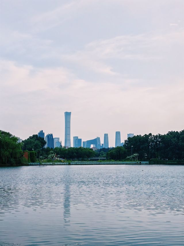人少景美的朝陽公園打卡攻略！