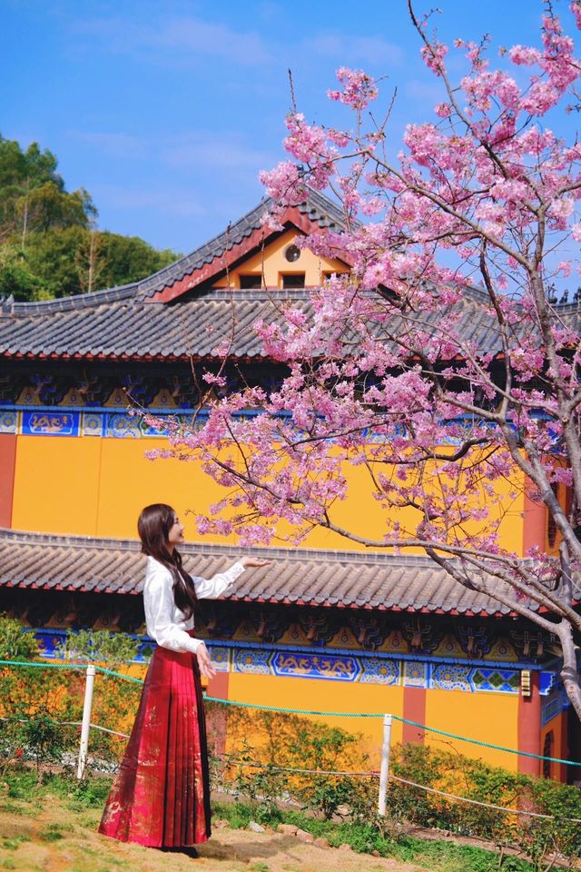 春天，相約東華禪寺清修，感受內心寧靜美好，畀身心放個假吧！