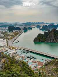 🇻🇳下龍灣顫抖登頂❗️人生封面在此🏞