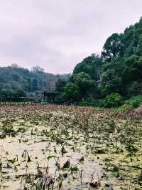 重慶市著名寺廟公園景點：華岩寺，適合拍照打卡親子遊戲閒暇度假地！