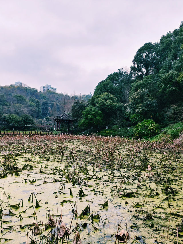 重慶市著名寺廟公園景點：華岩寺，適合拍照打卡親子遊戲閒暇度假地！