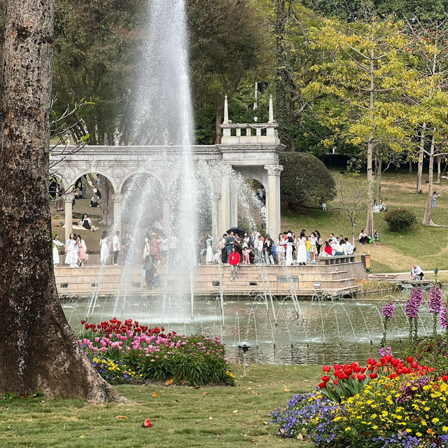 廣州雲台花園｜絕美花海打卡攻略！