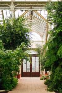 Explore Kew Gardens: A Journey into the Movies