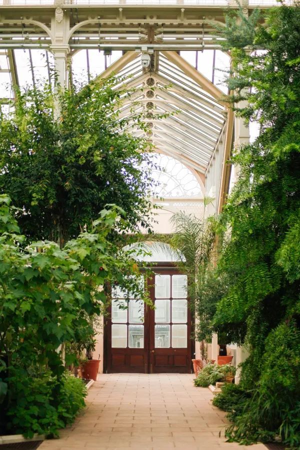 Explore Kew Gardens: A Journey into the Movies