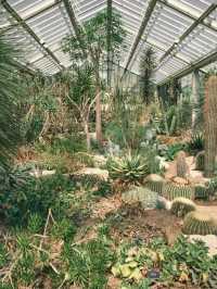 Must-Visit Kew Gardens in Spring and Summer