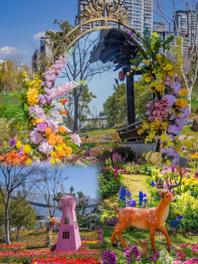 闖入現實版昆明「莫奈花園」，邂逅春日浪漫