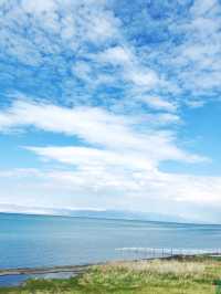 青海青海湖-茶卡鹽湖6日躺平之旅 看完你也想去