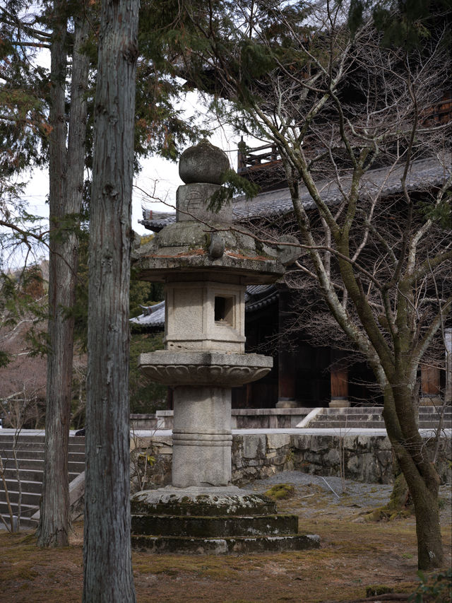 京都｜不敢想像櫻花季時這裡會有多美