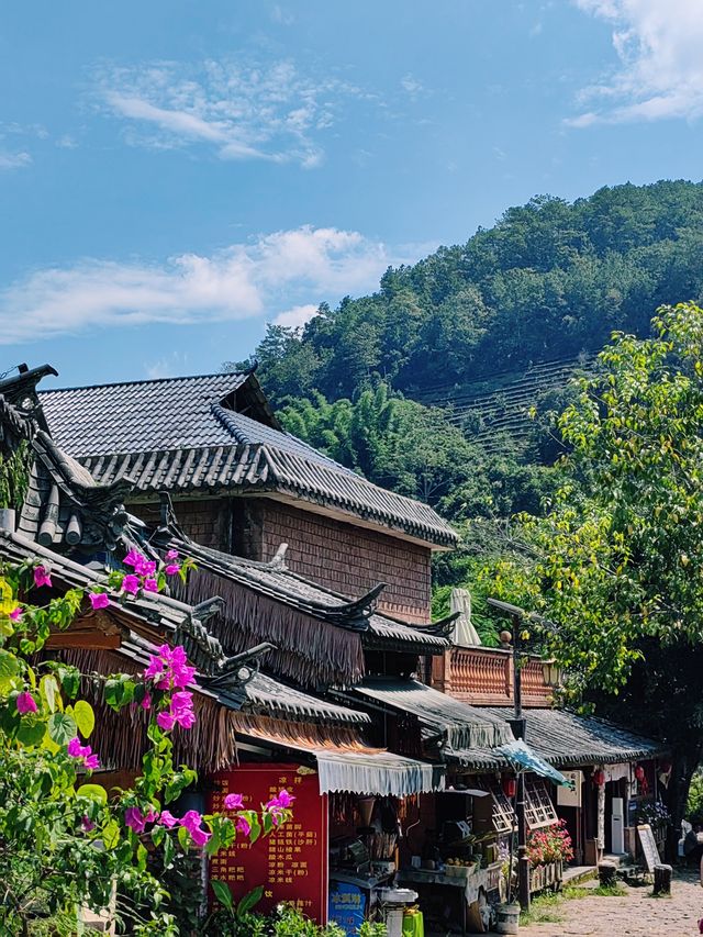鮮為人知的小眾地探索茶馬古道驛站