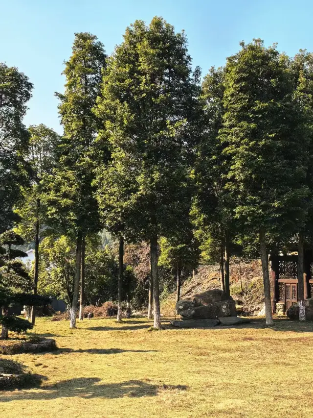 Changsha Niche Outing|Baogai Temple, a Hidden Paradise
