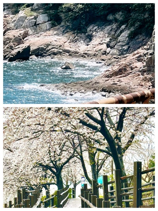 麗水：韓國的夢幻海濱之城