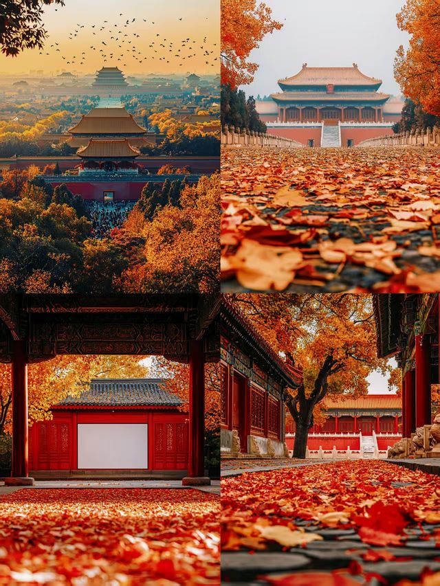 走進故宮博物院，解鎖明清皇家的隱秘角落