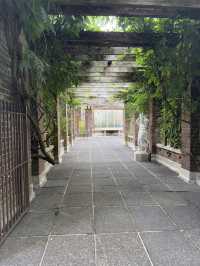 One Of The Best Free Things In Auckland, The Stunning Winter Gardens 