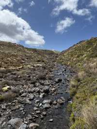 The Infamous Set Of Lord Of The Rings, Mount Tongariro Pass