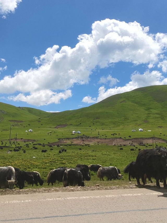 天水等地老友出遊秘笈一起重拾青春記憶