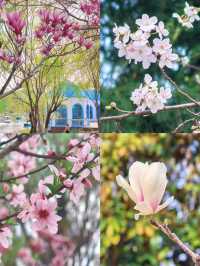 交換春天·魔都隱藏莫奈花園被我找到了