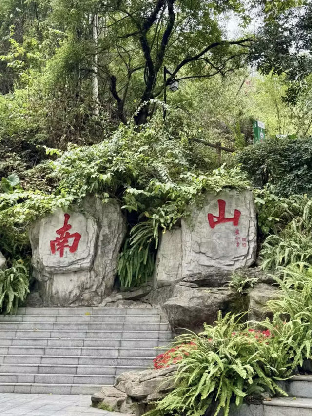 城市與山的對話