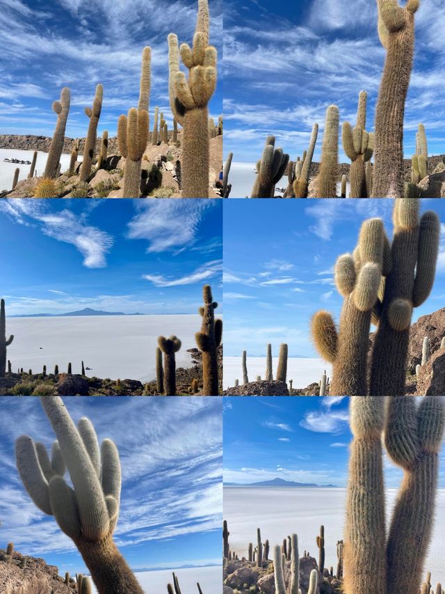 探索烏尤尼，邂逅大地奇觀