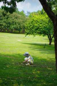 石家莊市區的森林!|藏在二環內的綠野仙蹤!