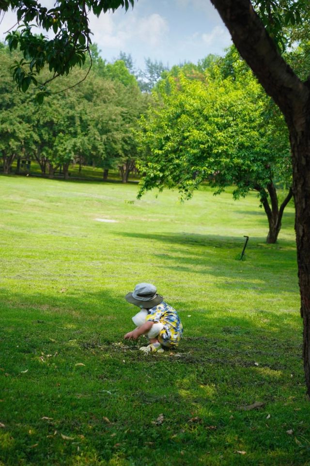 石家莊市區的森林!|藏在二環內的綠野仙蹤! 石家莊市區的森林!|藏在二環內的綠野仙蹤!