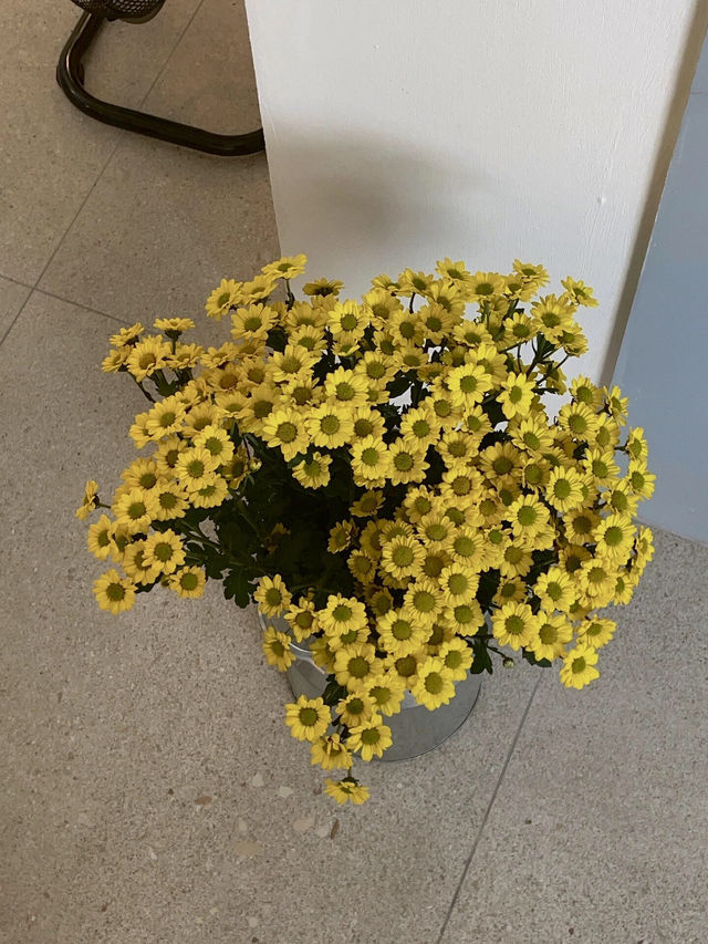 首爾弘大延南洞探店 | cottage Blue咖啡廳，超棒新發現！