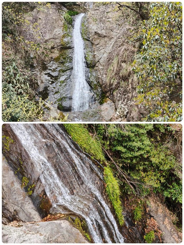 佛系吸氧天花板！天目山保姆級避坑攻略