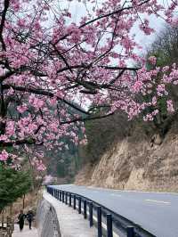 暴走3萬步！九寨溝一日遊保姆級時間線