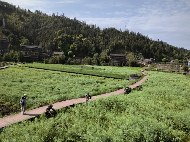 這是柳州程陽八寨，中國地理最美的地方之一。
