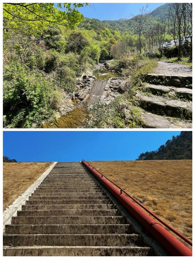 杏梅尖遠足邊走邊看風景獨美