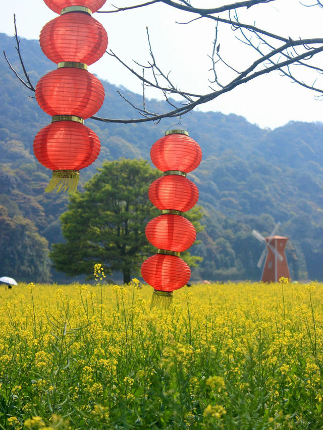 石門國家森林公園，超級震撼的自然秘境✨